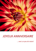 Fleurs &eacute;clatantes pour un anniversaire inoubliable